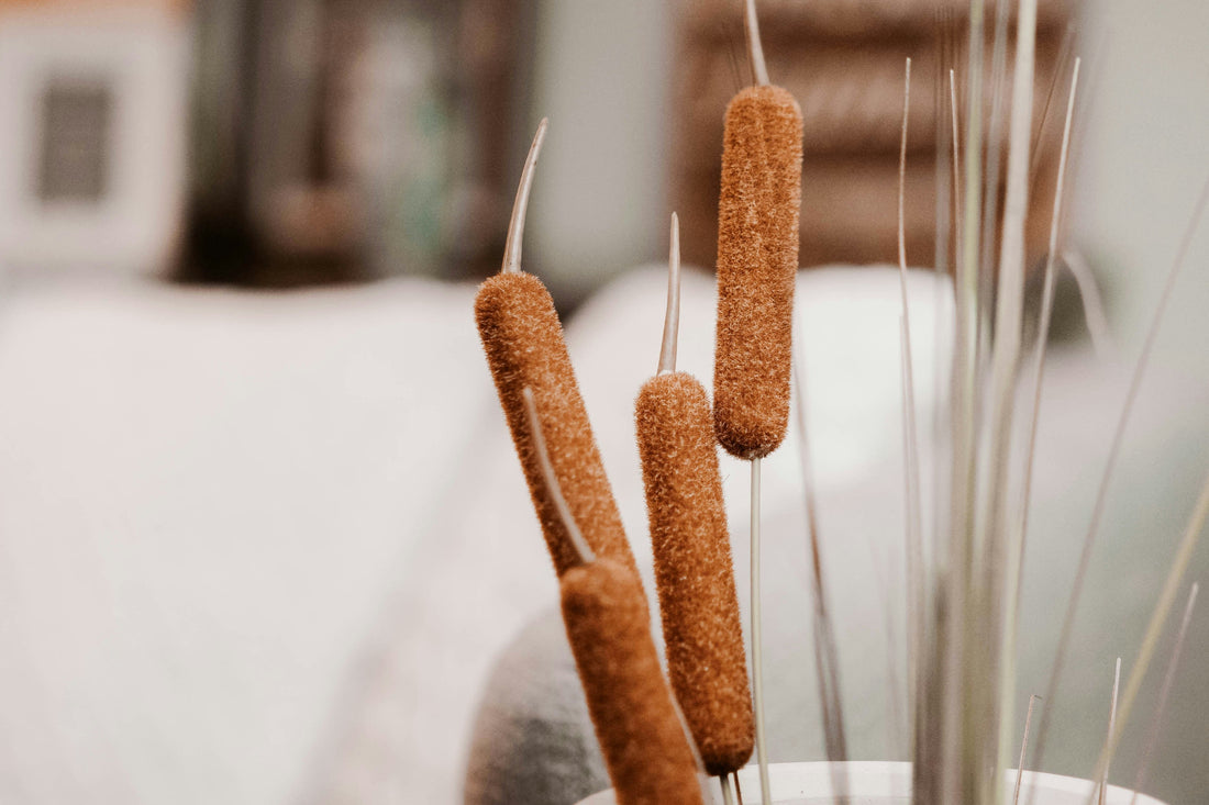 Licht im Interior: Stimmung und Struktur durch gezielte Beleuchtung